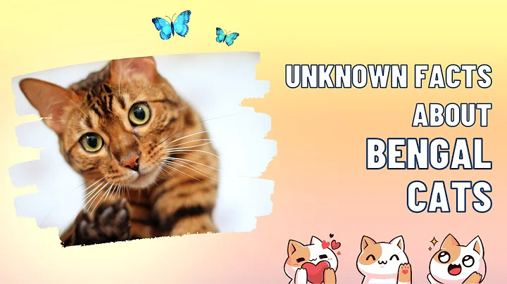 Video 2043001: bengal cat, cats entertainment amazing, funniest cutest cats