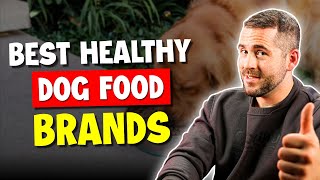Best Healthy Dog Food in 2024