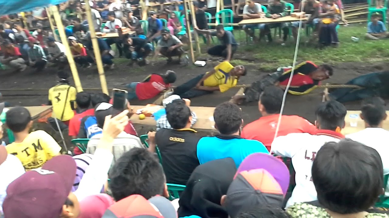 Gempar final tarik tambang umum antara PECUT GUMITIR (SUNGAI TENGAH) VS BETORO KARANG/BADAK (BALUNG)