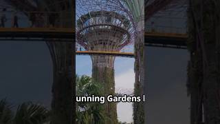 Cities And Countries Setting The Standards For Eco Travel.