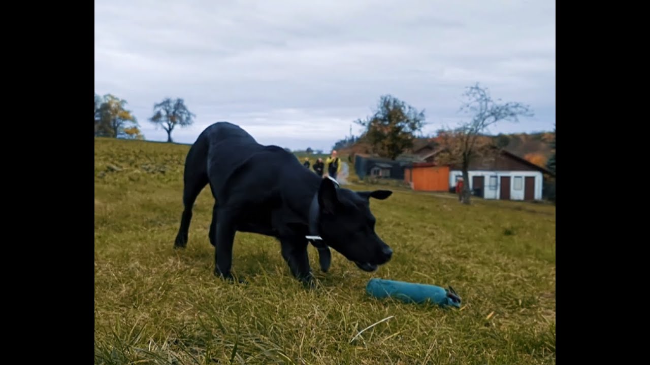 TMH Neulingen e.V. - Imagefilm 2020