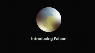 Introducing Falcon: the brain.