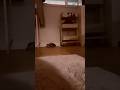 “Just grow” #popularaudios #trendingshorts #audiosong #fun #funny #strangerthingsmusic