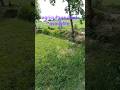 agriculture land available 03036293073