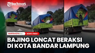 VIRAL, Video Bajing Loncat Diduga Beraksi di Kota bandar Lampung.