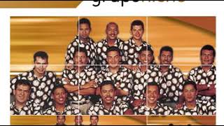 Grupo Niche - Anamile (Version alterna)