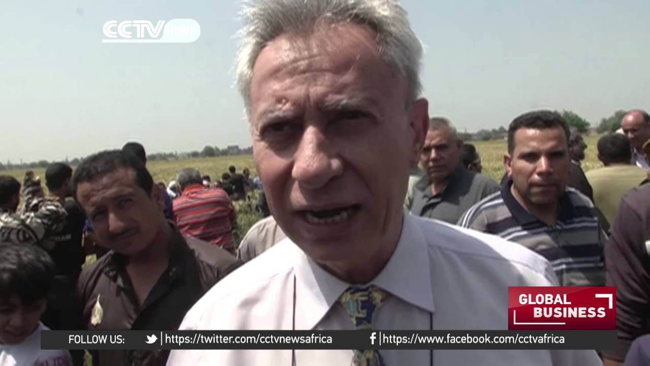 Egyptian farmers switch to water conserving irrigation methods