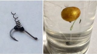 How To Method Carp Spring Hair Rig - DIY Fishing Hacks - Mồi viên với lò so