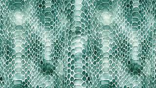 Snakeskin Retro Art Style Patterns