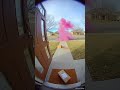 Sweet Lady Porch Pirate Instant Karma 💣