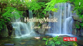 Relaxing Music 24/7, Stress Relief Music, Sleep Music, Meditation Music, Study, Calming Music