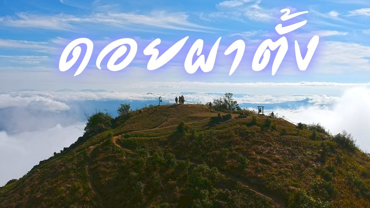 วิวหลักล้าน! ชมทะเลหมอกบนดอยผาตั้ง อีกหนึ่งที่เที่ยวเชียงราย ที่ต้องมาให้ได้สักครั้ง