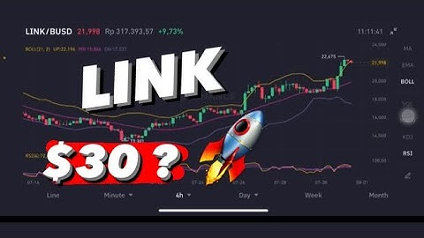 CHAINLINK PRICE PREDICTION - LINK UPDATE - LINK PRICE PREDICTION - CHAINLINK (LINK) RESISTANCE $30 ?