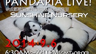 pandapia live 20140906 02 Archives 毛毛大小仔和太陽產房的小夥伴們