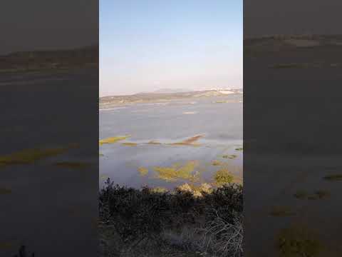 مرج صانور 2021