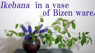 【生け花】備前の壺に２種の花材を交互に【ikebana】Flower arrangement in a vase of Bizen ware/Viburnum and Ajuga/備仙花瓶插花/十二単