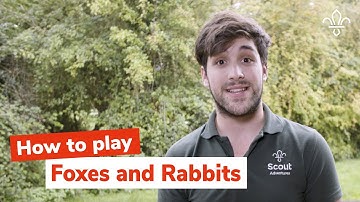 How to play Foxes and Rabbits