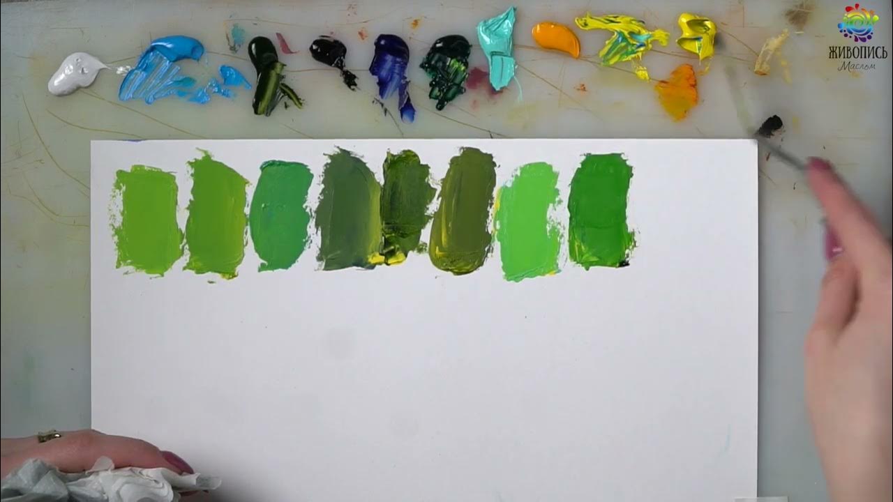 фанни 4 фэмили. Funny 4 соня. владимир сша ютуб. ютуб америка. капустины в америке ютуб.