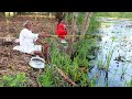 Fishing Video || Grandpa is giving special training in fishing to the village girl || Hook fishing