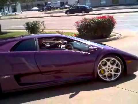 pussy in a lambo Pussy in a lambo