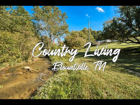 295 Rodefer Dr, Blountville, TN home video tour