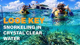 Snorkeling Looe Key Reef (Florida Keys) | Scouts Sea Base Adventure