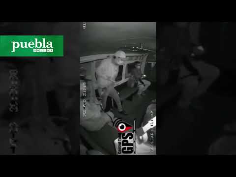 Sujetos armados asaltan a pasajeros de la Ruta 64-A en Puebla