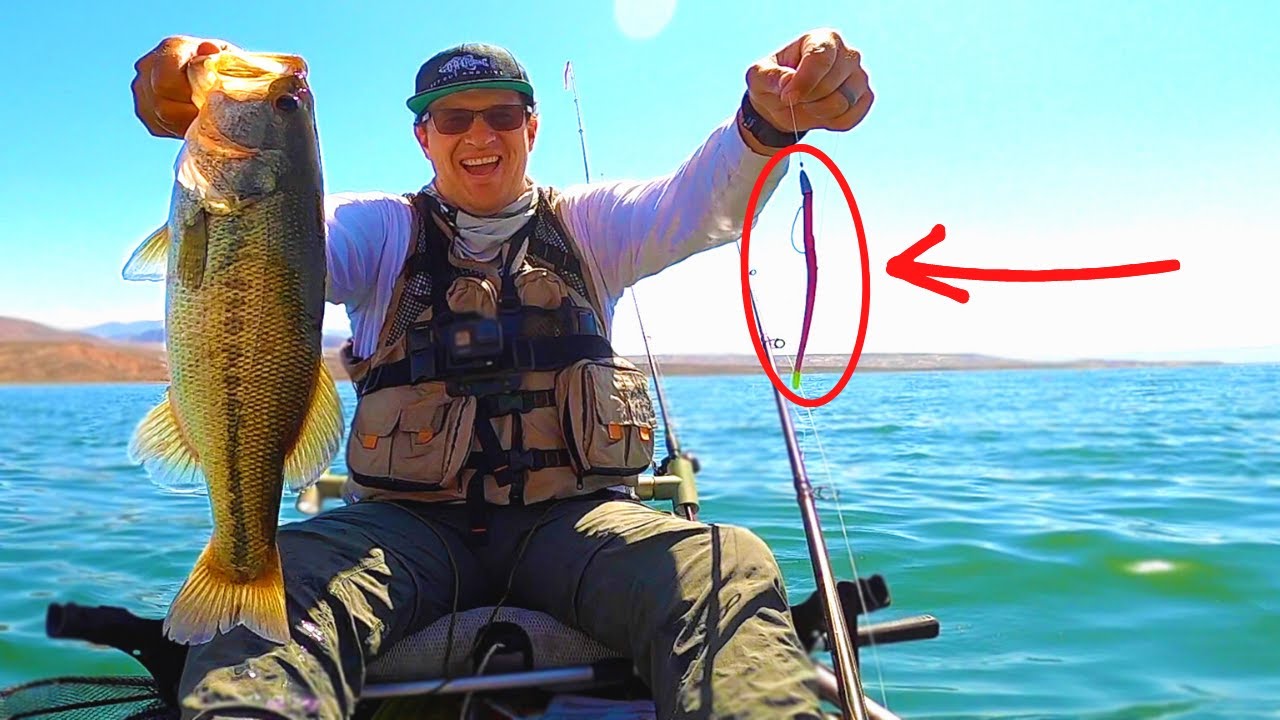 How to fish a Texas Rig For Beginners 