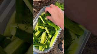Так просто и вкусно .Попробуй #рецепт #закуска #просторецепт #easyrecipe #shorts