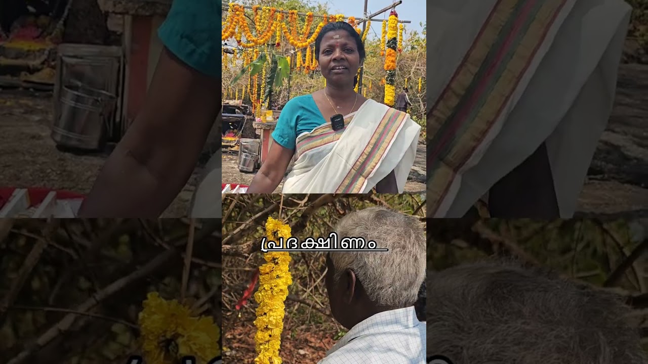 ആയിരവല്ലി അപ്പൂപ്പന്....