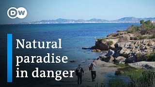 Saving Spain's largest saltwater lagoon | DW Documentary (Environment documentary)