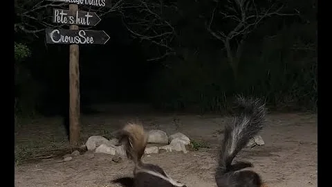 BlueIndigoTrails is live!🌕🌕