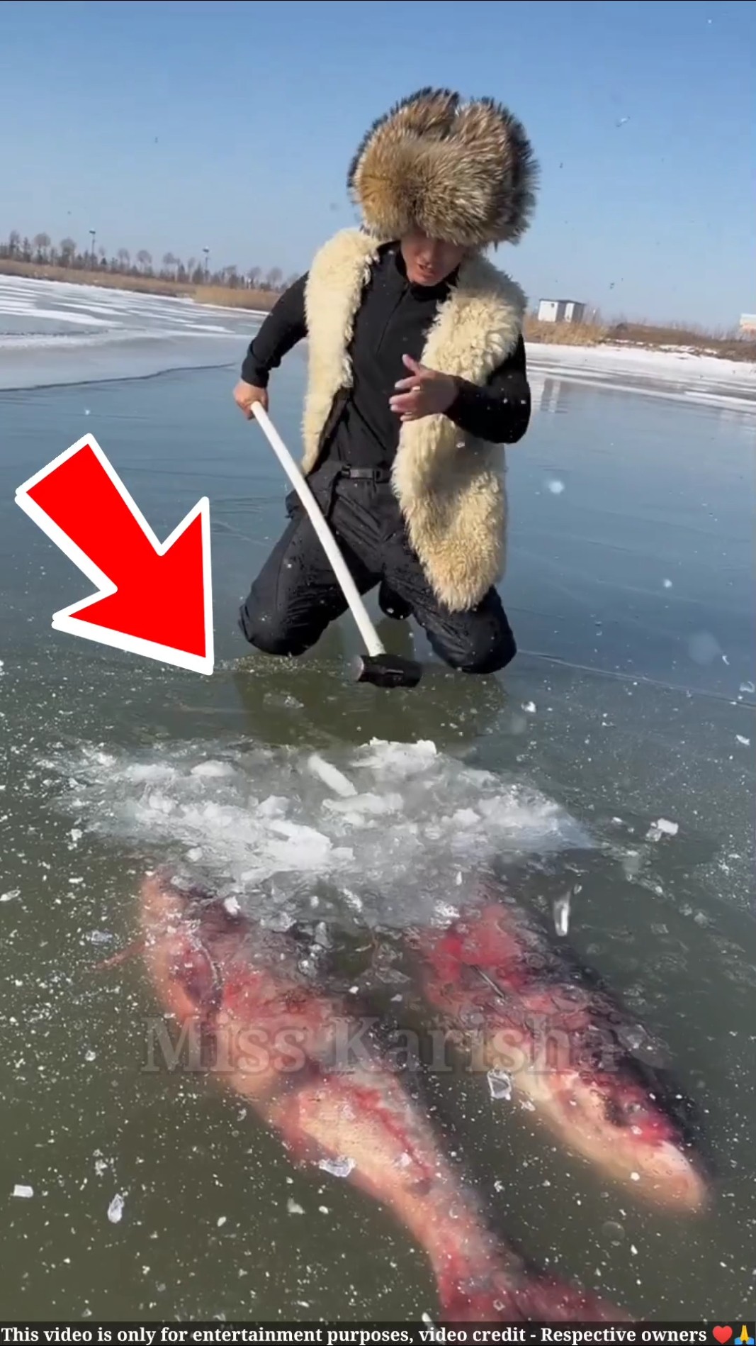 ये आदमी मछली की बर्फ से जान बचाता लेता है || ice fish || #shortsvideo