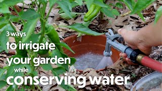 Watering Systems: Drip Irrigation, Buried Clay Pots, Garden Hose Tips | Farm your Yard
