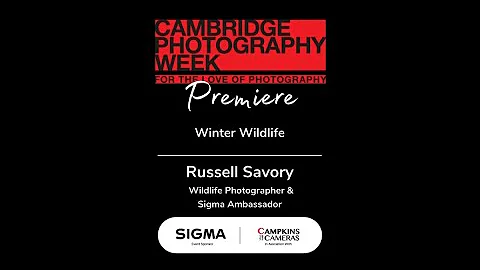 Winter Wildlife with Russell Savory, Wildlife Phot...