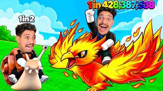        - Roblox Ride A Pet
