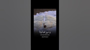 Surah Ali 'Imran [169] | ‎سورة آل عمران [١٦٩]