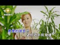 女人的一生 伴奏 女人的一生 伴奏