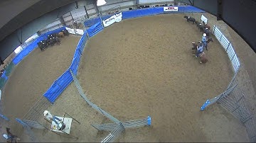 Big Sky Ranch Sorting Saddle Series Finals - Open HC - Round #1 - Ride #22