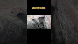 En Puslu Zi̇ndani Çekti̇k Sarkındım Ültür Sur Bilgiseli Açıklamada