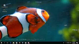 Change Your Windows Wallpaper