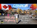 Người Việt đổ xô du lịch Canada để coi lá Phong mùa thu