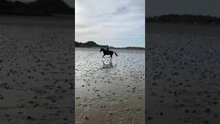 Advert reference - 316235