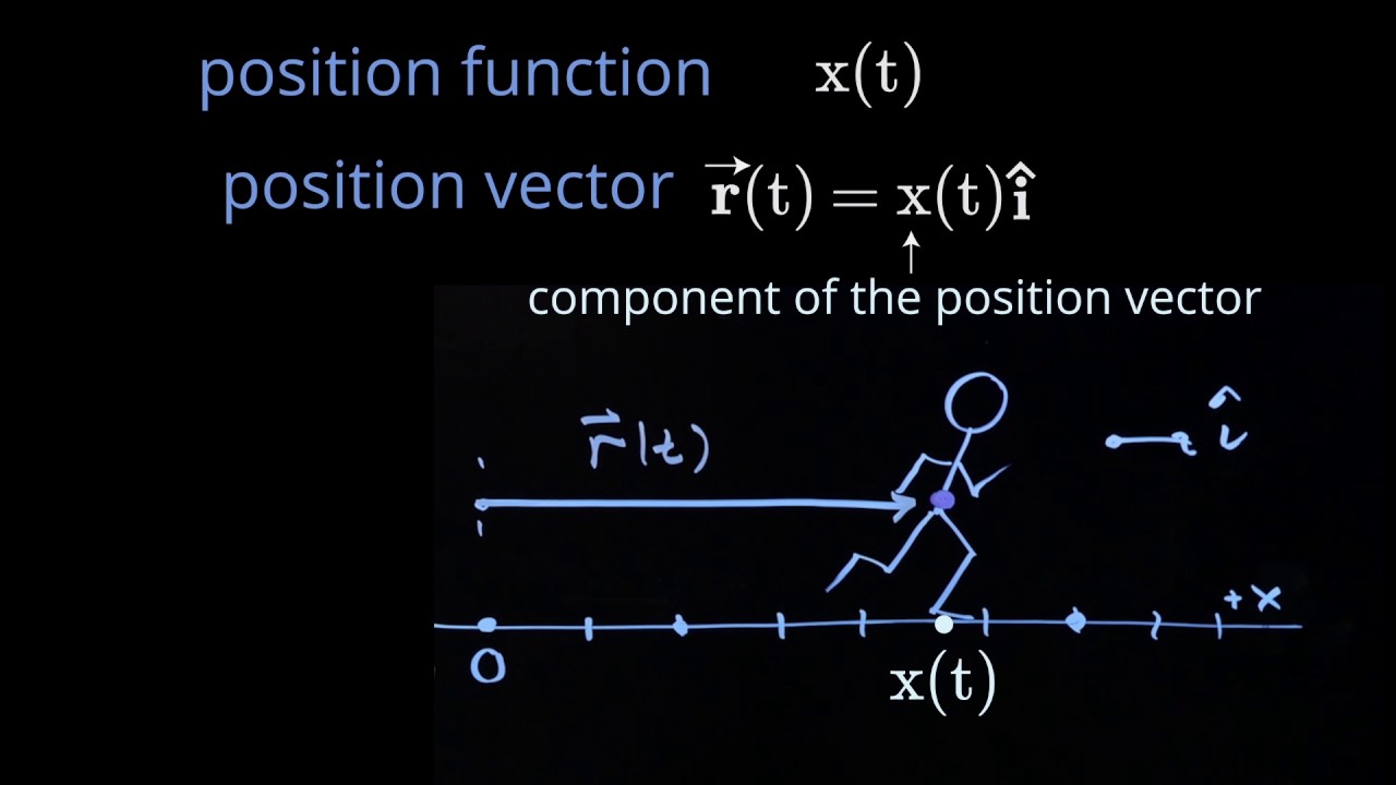 ใบไม้ vector  Update 2022  1.2 Position Vector in 1D