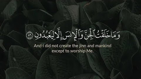 ما تيسر من سورة الذاريات بصوت القارئ عبد العزيز يحيي