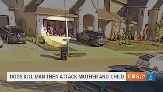 Celebrity Dogs kill man, attack mother and child Profile