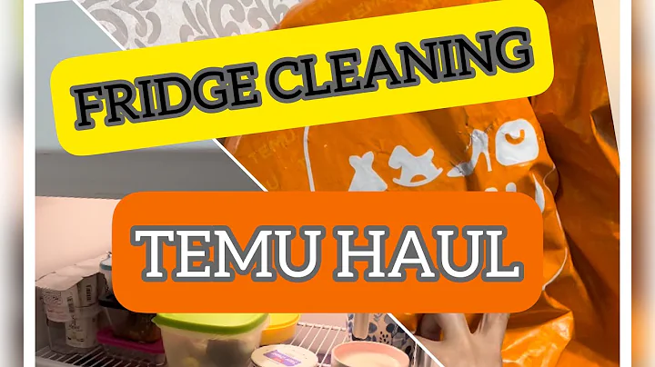 TEMU HAUL || REFRIGERATOR CLEANING