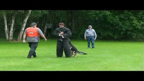 Object - De Werp.avi