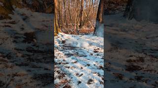 🧨 Petarda : Fighter Bull Dog 🧨 Krótki Test nr 1. Całość Filmu na Kanale.