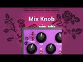 3. Eventide Rose - Mix Knob